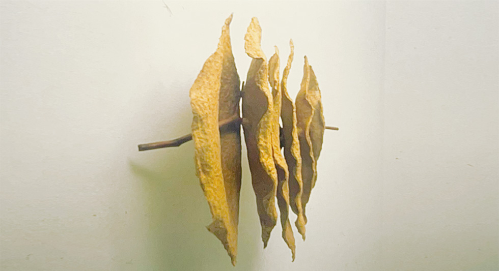Sculpture-Helen-Yu